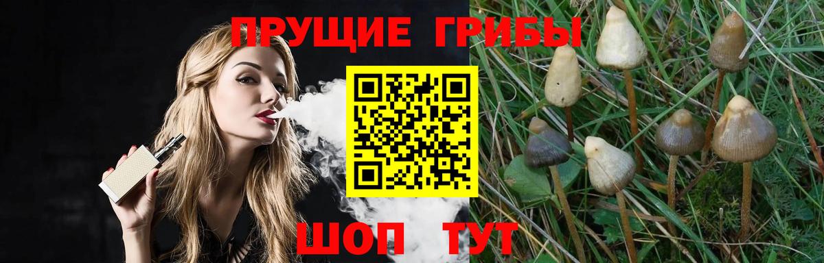 Галлюциногенные грибы мухоморы  Вход с VPN  Псилоцибиновые грибы Psilocybe  закладка  Кореновск 
